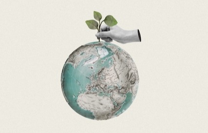 If It Looks Like a Duck